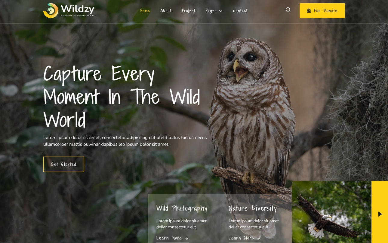 wildzy